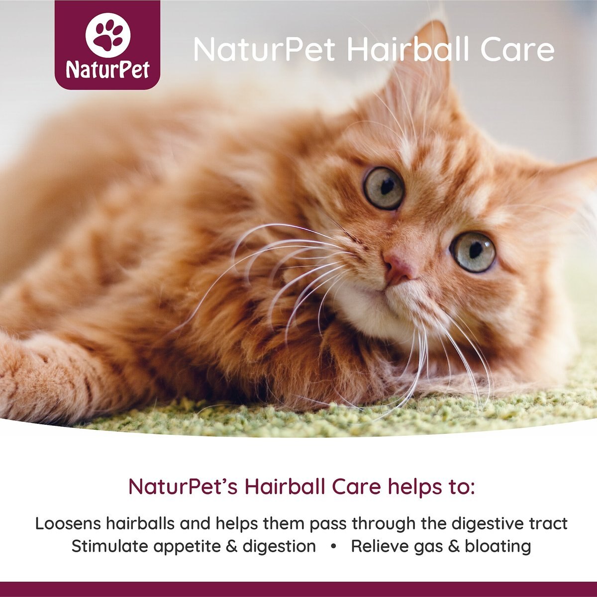 NaturPet Liquid Hairball Control Supplement for Cats and Dogs