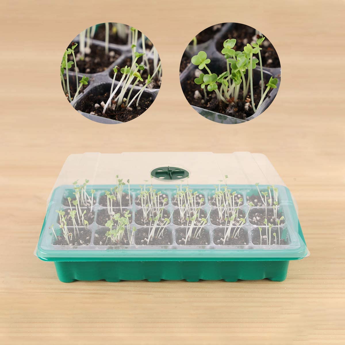 Flantor Seed Starter Tray - 5 Packs Plant Starter Kit 75 Cells Seeding Trays with Dome and Base Adjust Humidity