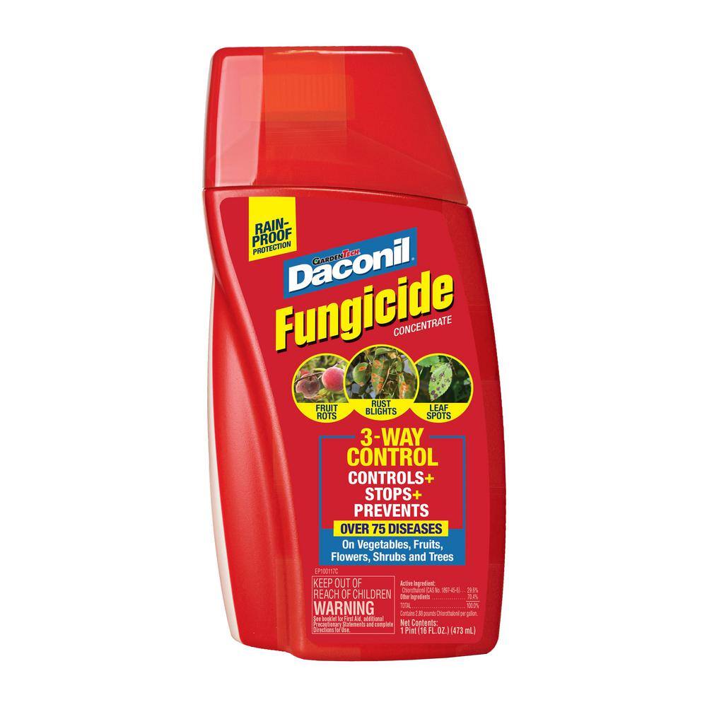 Daconil 16 oz. Concentrate Fungicide 100536524