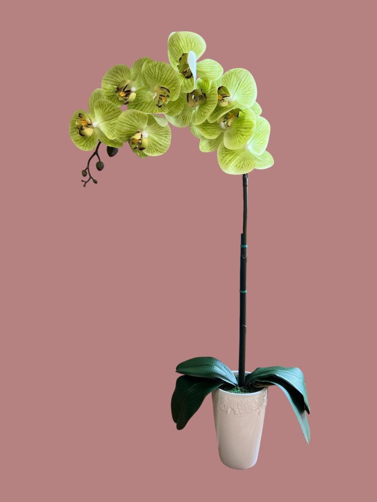 Stunning Artificial Orchids in Conical Pot