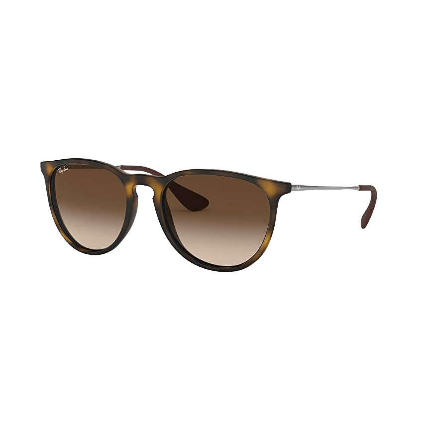 Ray-Ban Women's Erika Sunglasses