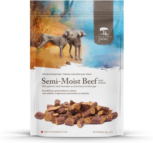 Caledon Farms Mini Trainers Semi-Moist Beef Dog Treats， 220-gm bag