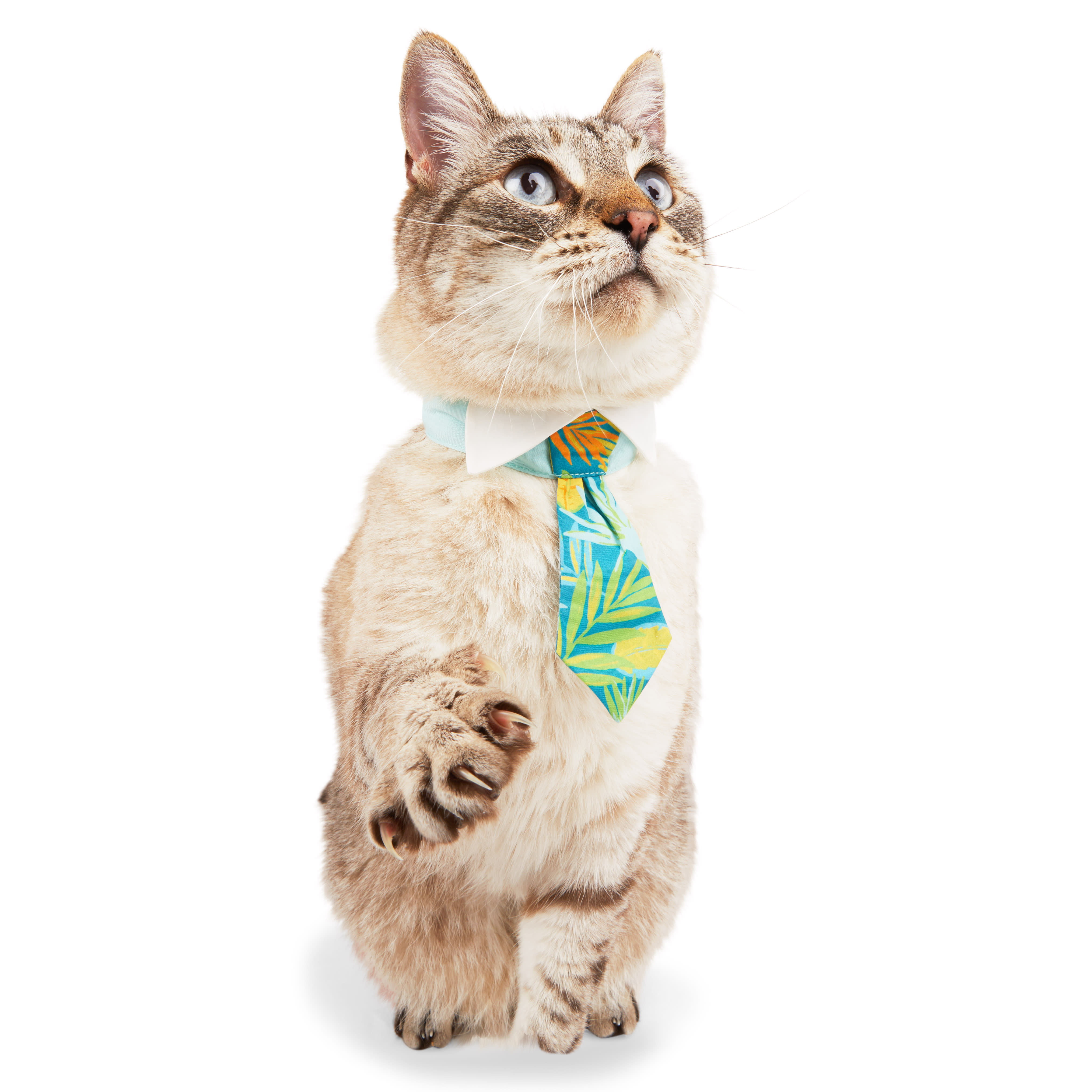 YOULY Cat Tropic Palm Tie， Large/X-Large