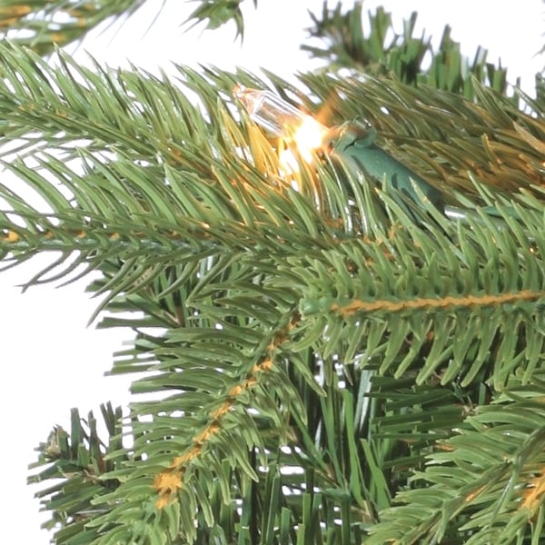 9 Foot Pre Lit Natural Cut Frasier Fir with 1000 Clear Lights