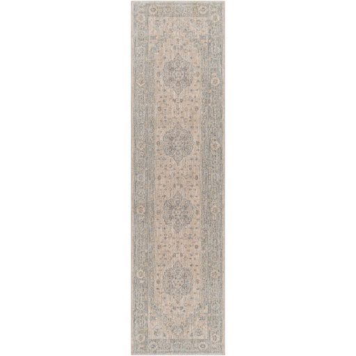 Avant Garde Traditional Light Gray Rug