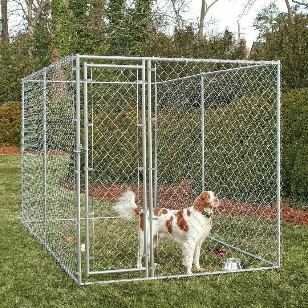 PRIVATE BRAND UNBRANDED 6 ft. x 10 ft. x 6 ft. Outdoor Chain Link Dog Kennel 308595B