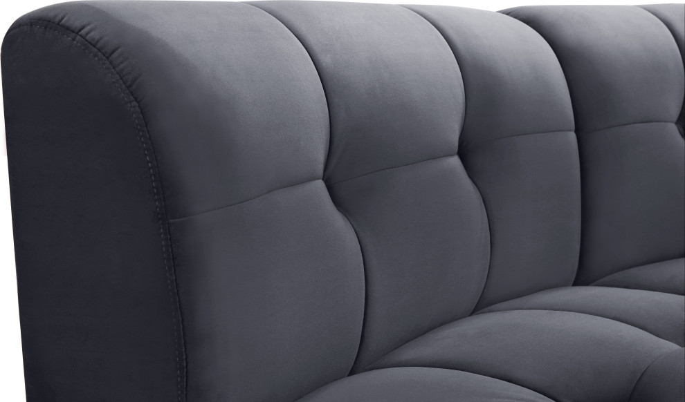 Limitless Modular Velvet 1 Piece Sectional   Transitional   Loveseats   by Meridian Furniture  Houzz