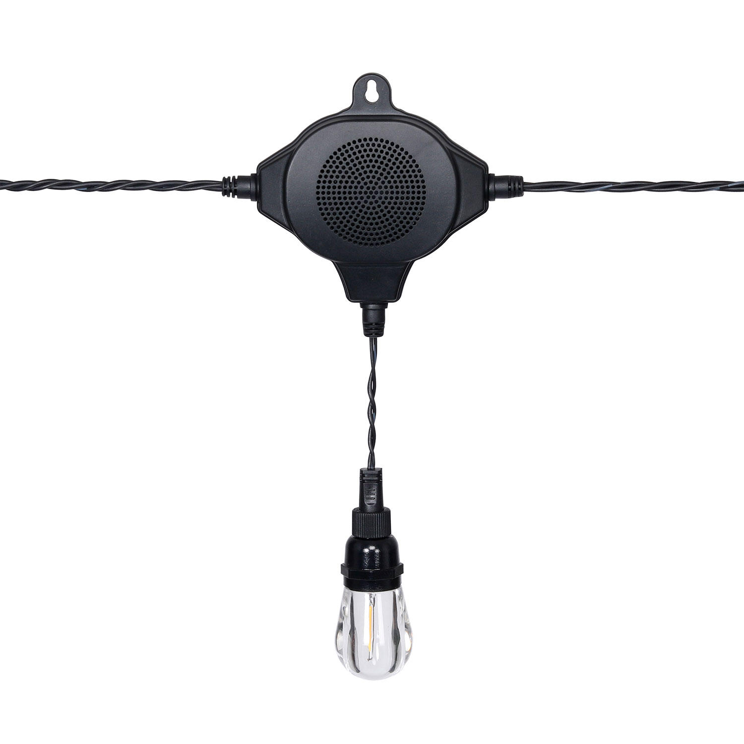 Honeywells 36' LED Indoor/Outdoor String Lights with Bluetooth Speakers