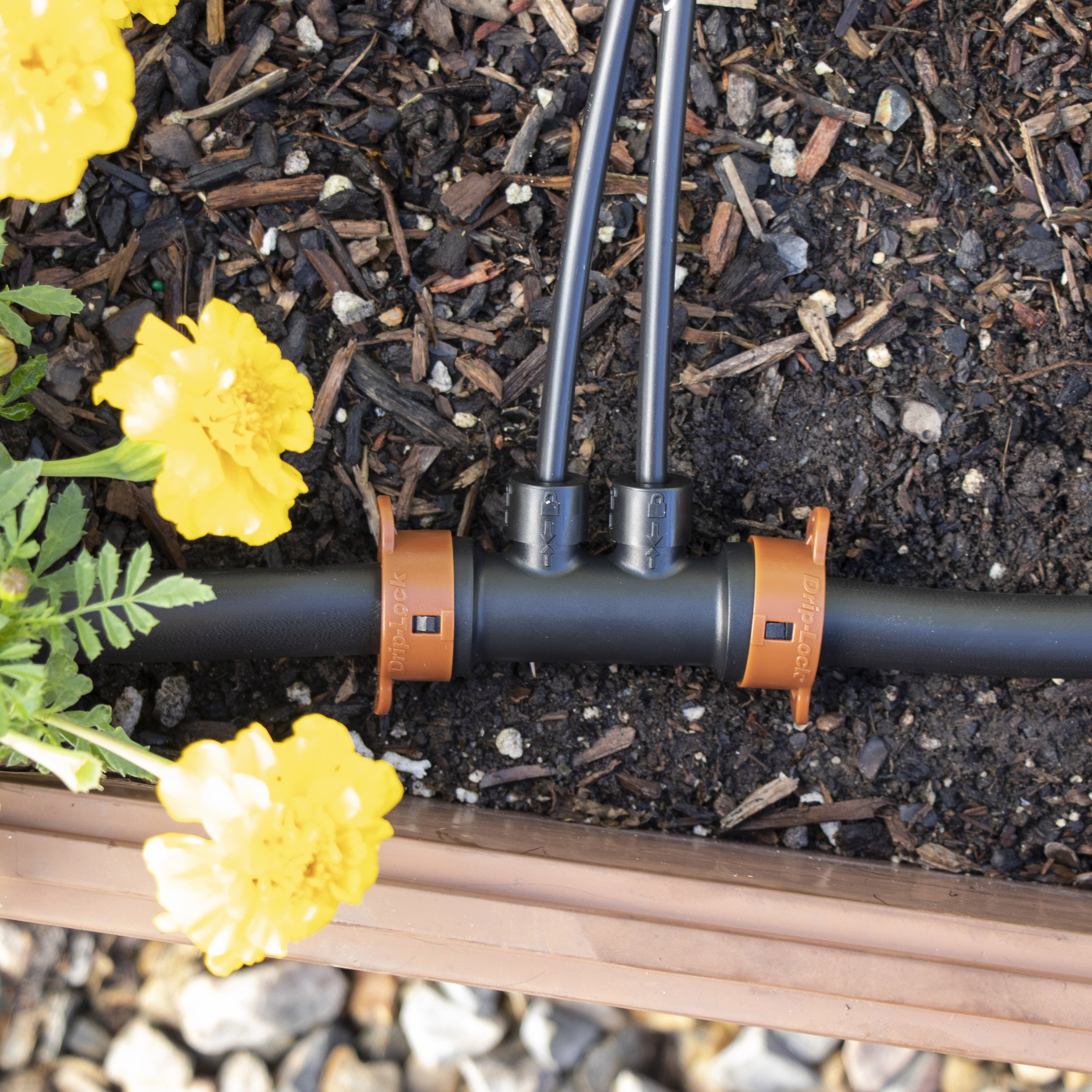 Orbit Irrigation  2-Port Full-Flow Inline Drip-Lock Manifold