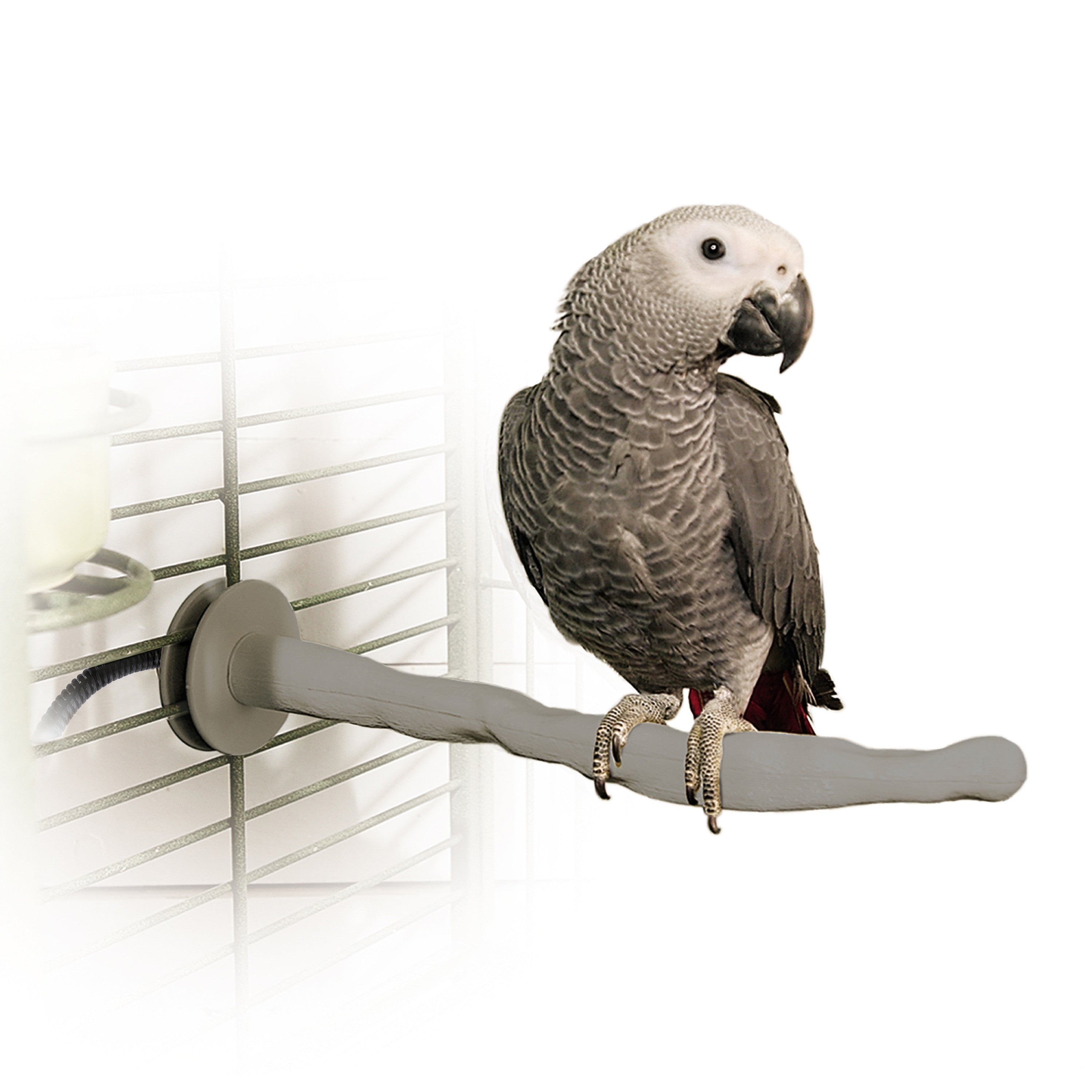 KandH Pet Products Thermo-Perch Bird Perch， Large， Gray