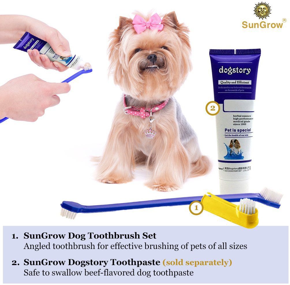 SunGrow Dental Cleaning Tool Kit Dog and Small Animal Toothbrush， 4 Count