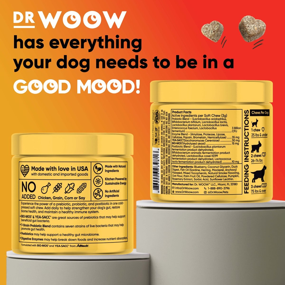 Dr Woow Pre， Pro and Post Biotics Duck and Pumpkin Flavor Soft Chew Digestion Supplement for Dogs， 90 count