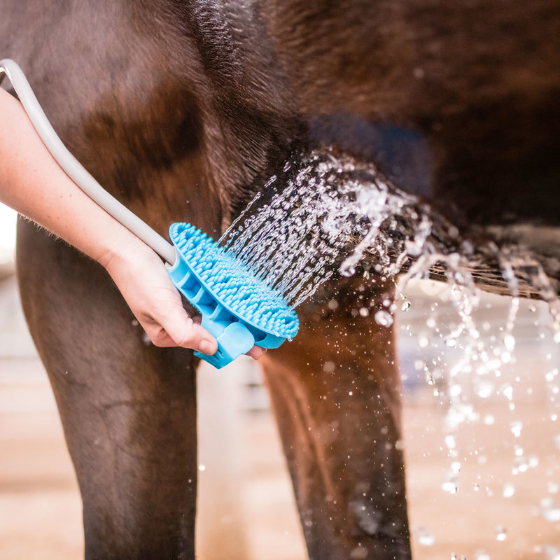 GROOMING BRUSH AQUAPAW