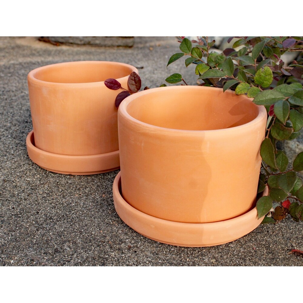 Set of 2 Terracotta Round Fat Walled Garden Planters with Individual Trays  2 SIZES AVILABLE