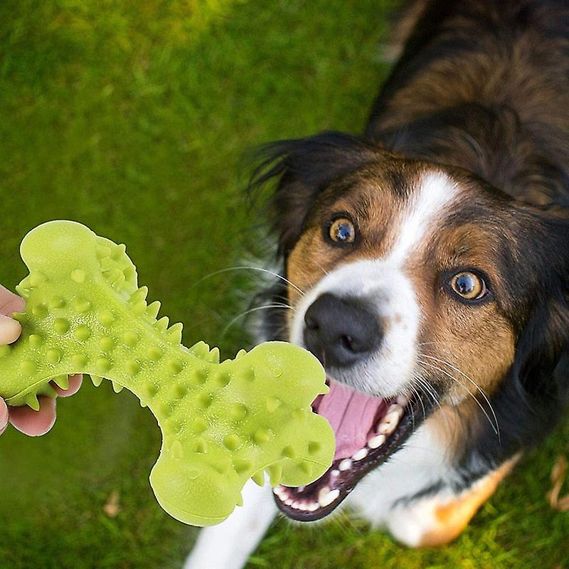 Durable small large dog chew toy