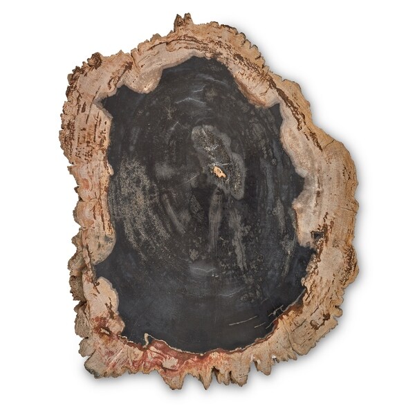 Fully Polished Stump- Dark