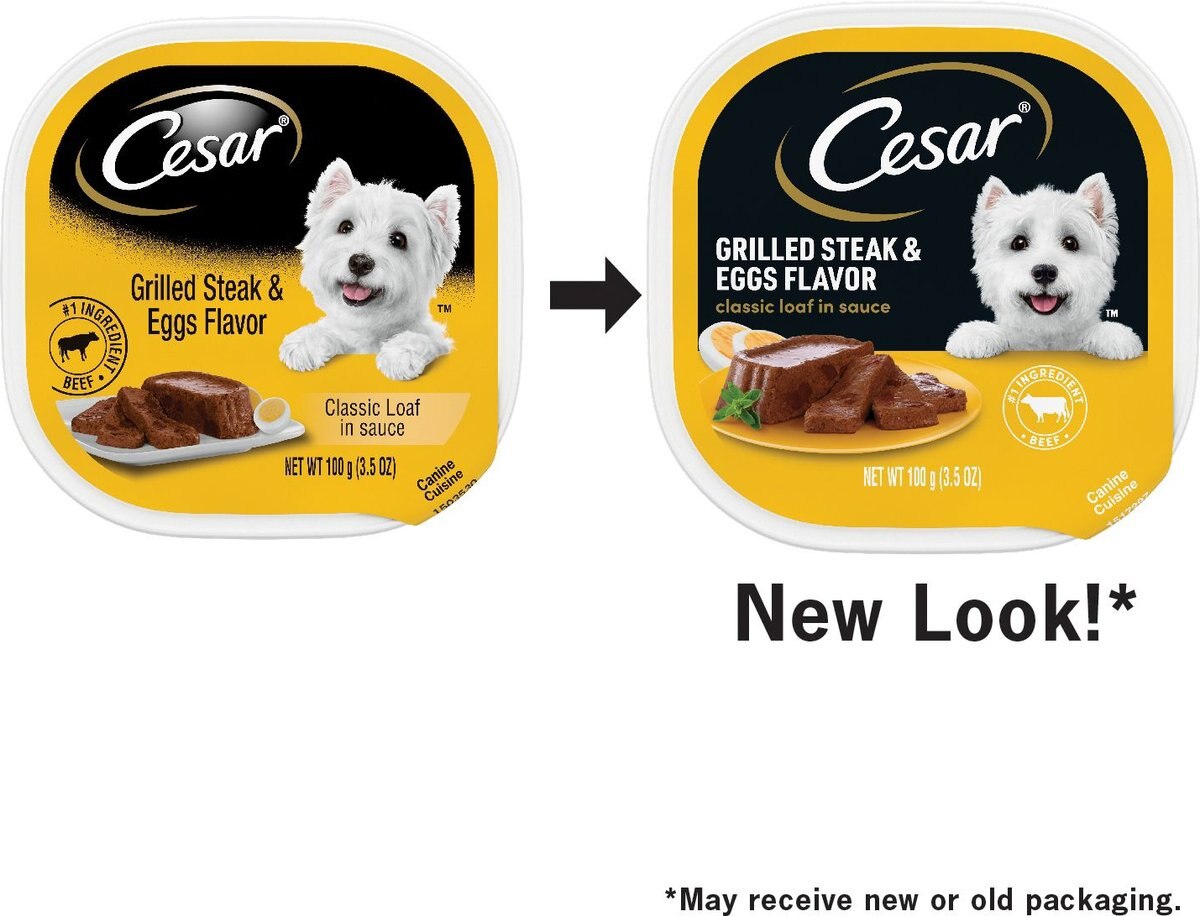 Cesar Classic Loaf in Sauce Grilled Steak and Eggs Flavor Dog Food Trays