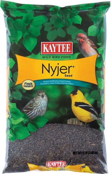 Kaytee Nyjer Seed Wild Bird Food， 8-lb bag