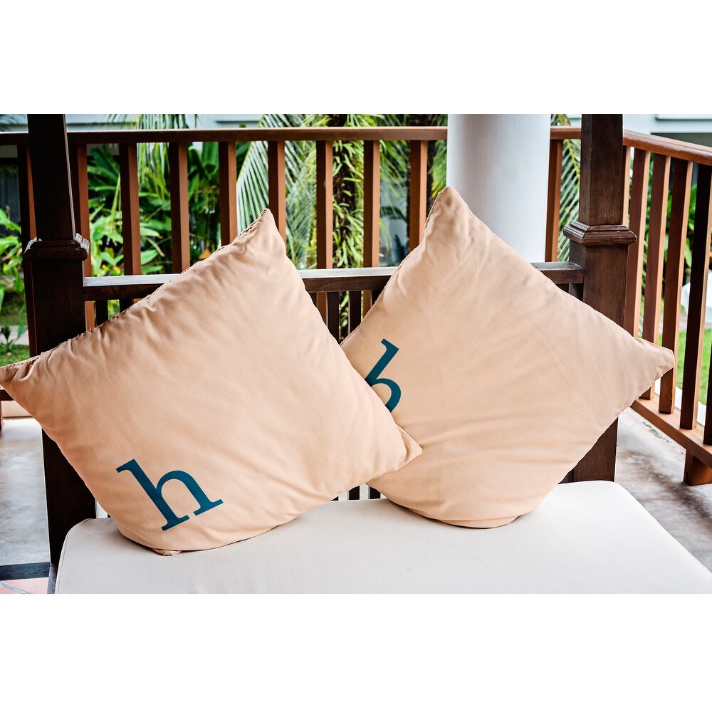 Modern Monogram Indoor/Outdoor Throw Pillow H