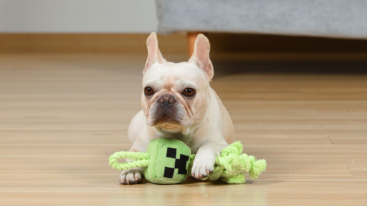 Fetch For Pets Minecraft Creeper Rope Squeaky Dog Toy