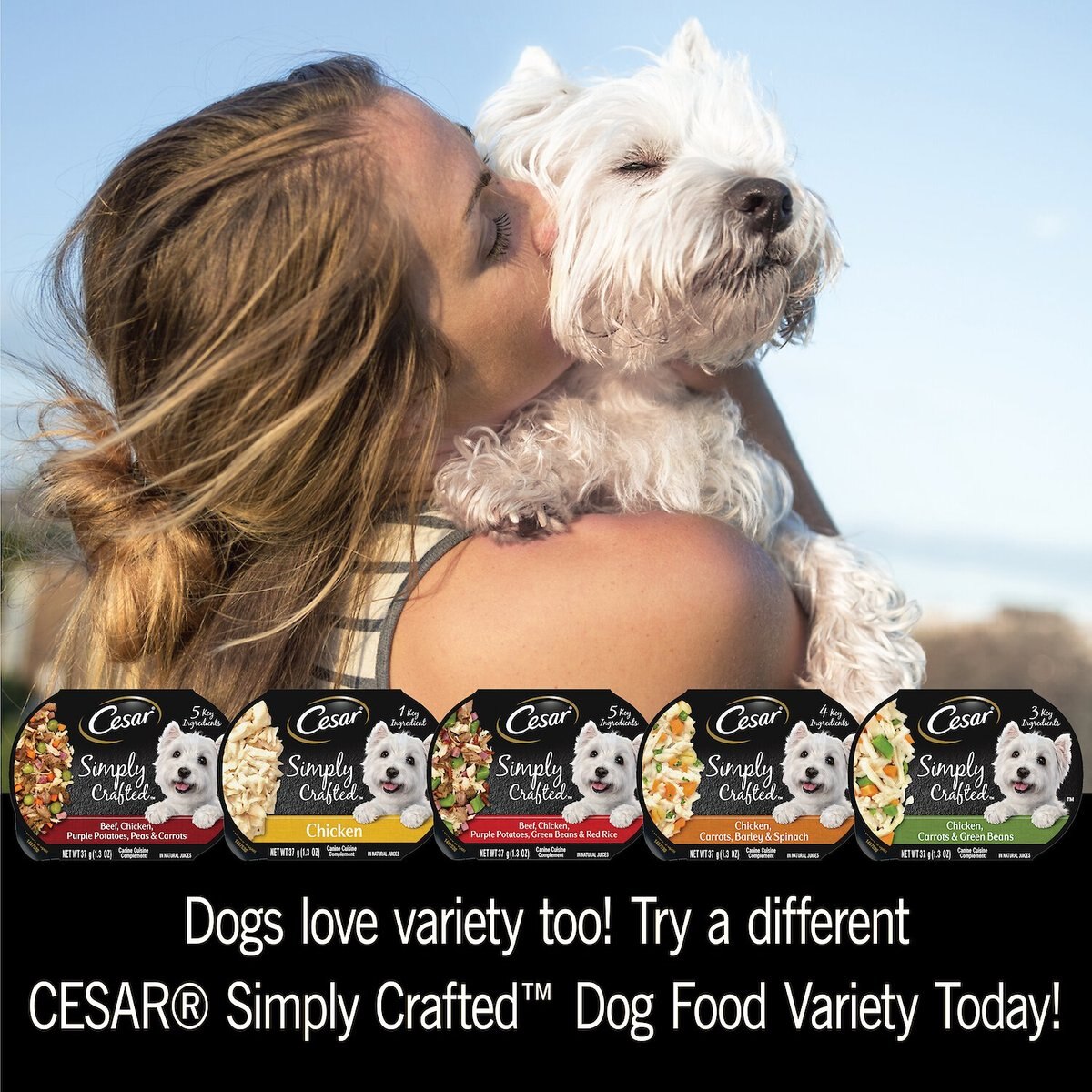 Cesar Simply Crafted Chicken， Carrots， Potatoes and Peas Limited-Ingredient Wet Dog Food Topper