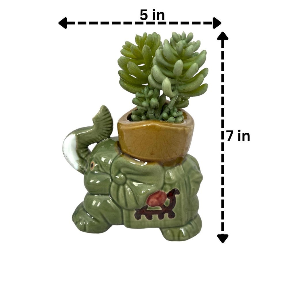 Beautiful Mini Green Succulent-Artificial