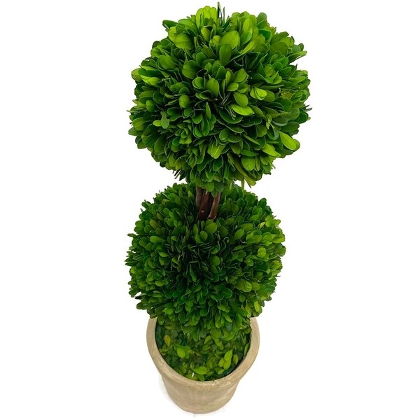 Modern Home Real Preserved Boxwood Double Ball Topiary