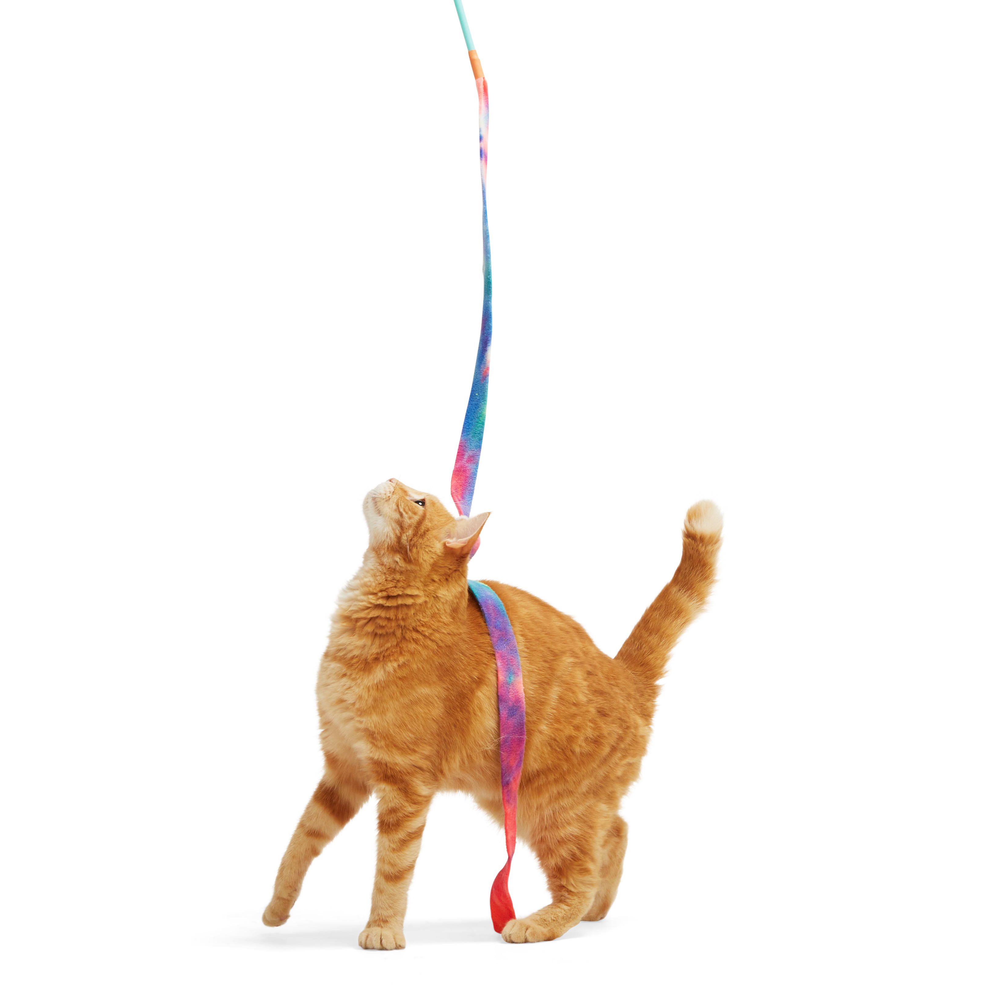 Leaps  Bounds Rainbow Teaser Cat Toy， X-Large