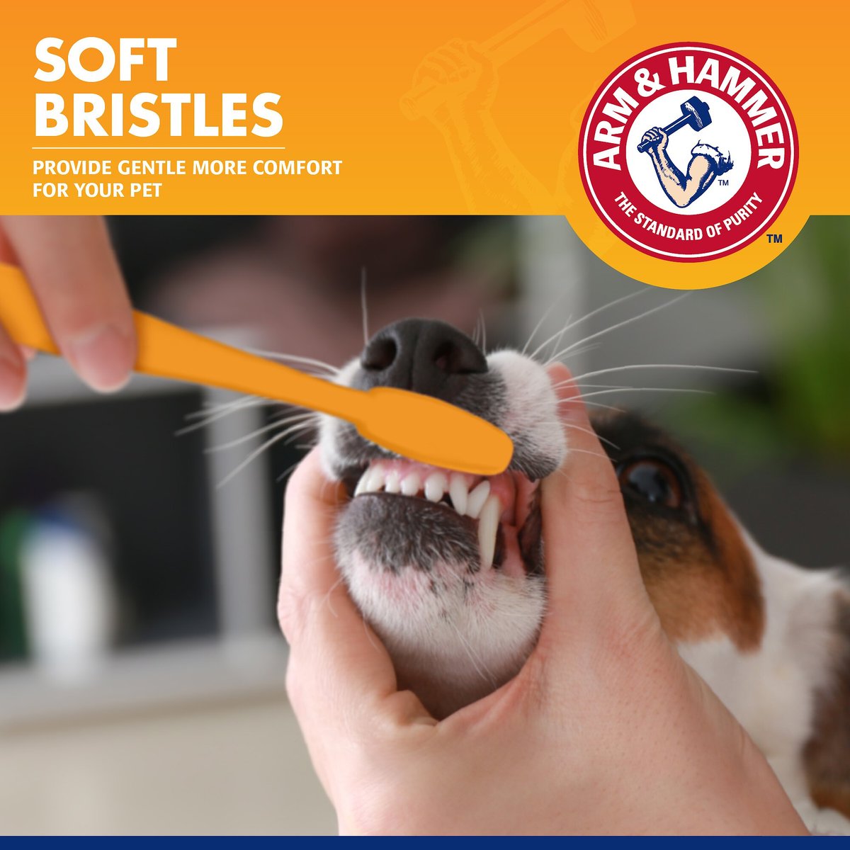 Arm and Hammer Tartar Control Small Dog Toothbrush