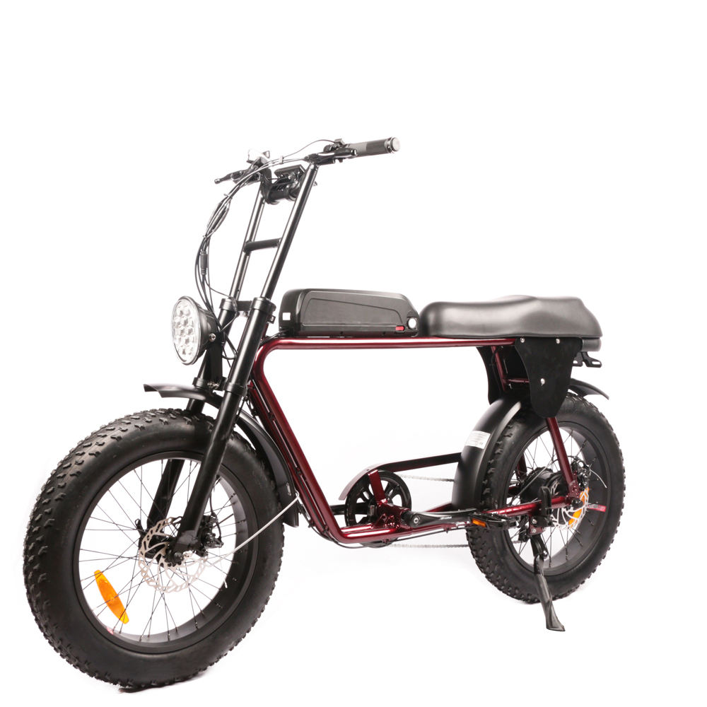 High power cycling pedal PAS 20ah lithium battery bmx cycle price in pakistan electric bicycles 250cc dirt bike cheap