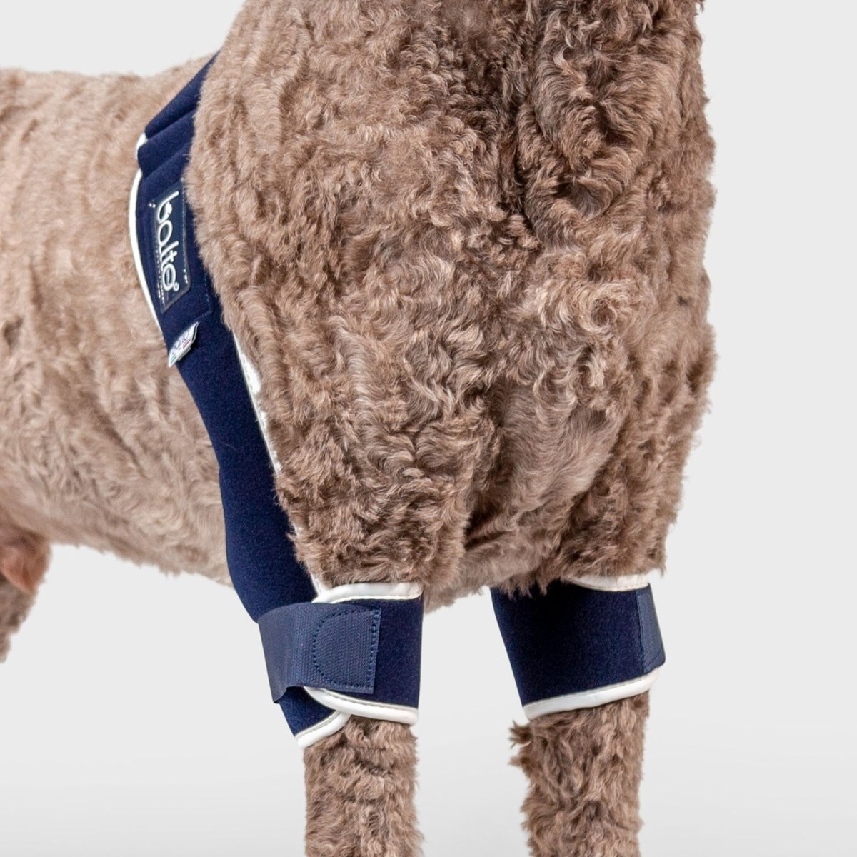 Balto Soft Plus Dog Double Elbow Brace