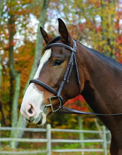 Shires Equestrian Products Avingnon Nashville Horse Bridle