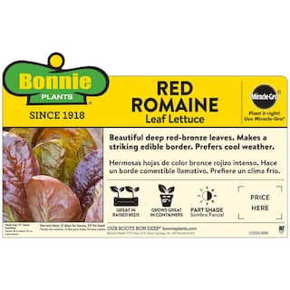 Bonnie Plants 1.19 qt. Red Romaine Lettuce Plant (6-Pack) 0054