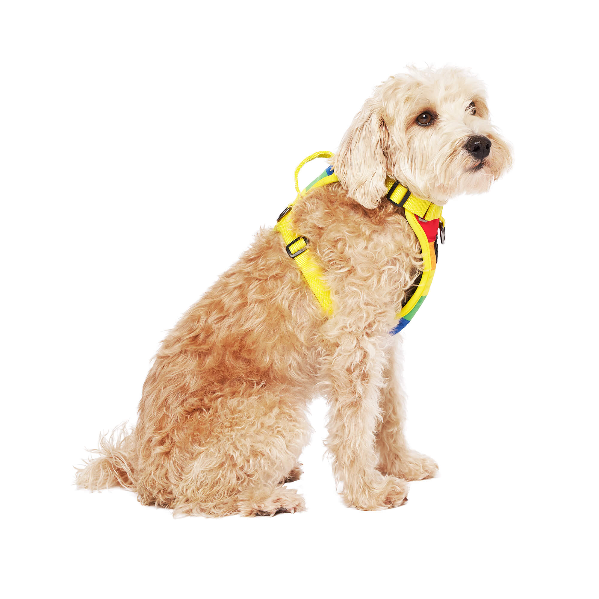 Canada Pooch Everything Stripe Dog Harness， Small