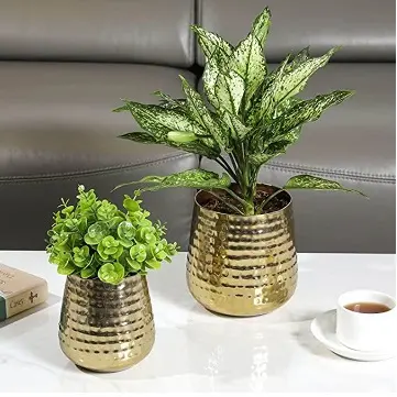 Home Interior Design Rounded Copper Metal Planter Home Indoor Outdoor Garden Usage Customized Size Metal Planter