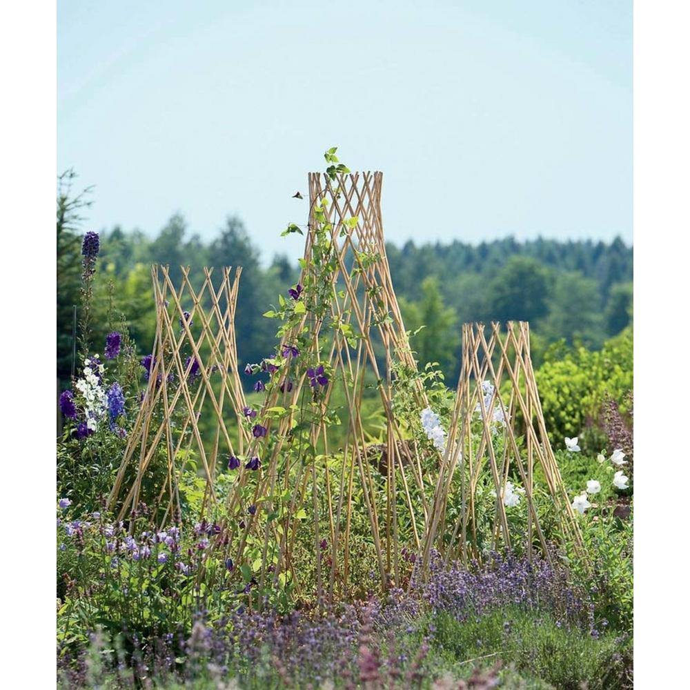 Master Garden Products 60 in. H Carbonized Skinless Peeled Willow Round Tepee Trellis WGT-60CT