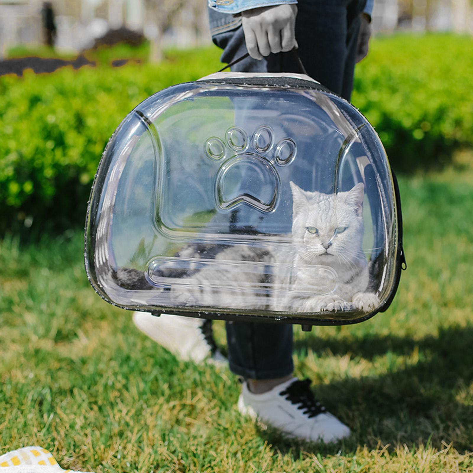 Cats Travel Carrier Clear Transport Luggage Carry Kennel Ventilated Pet Carrier Airline Approved Small Medium Dogs Puppy Walking Camping 36cmx20cmx22cm