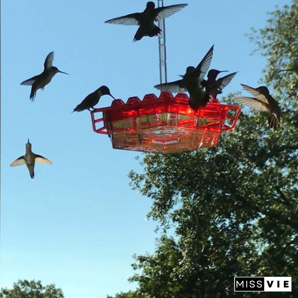 Sweety Hummingbird Feeder With Perch And Built-in Ant Moat