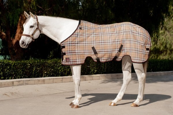 Kensington Protective Products Draft Protective Sheet SureFit Horse Sheet