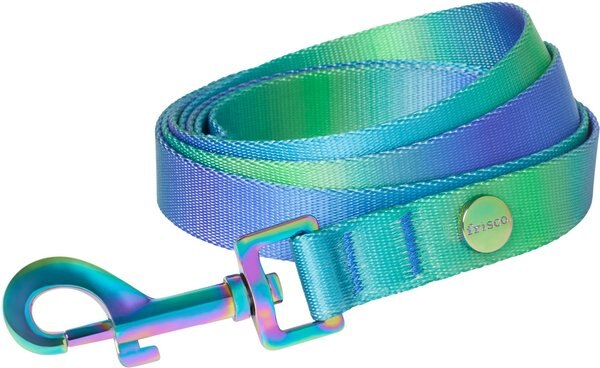 Frisco Green Ombre Style Dog Leash