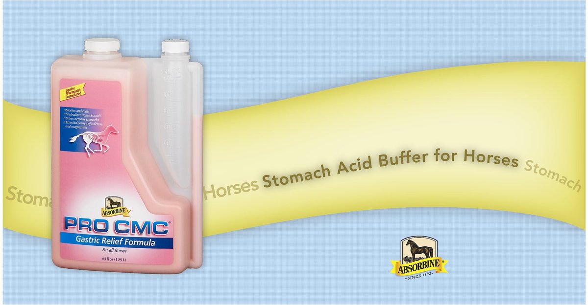 Absorbine ProCMC Gastric Relief Apple Flavor Liquid Horse Supplement