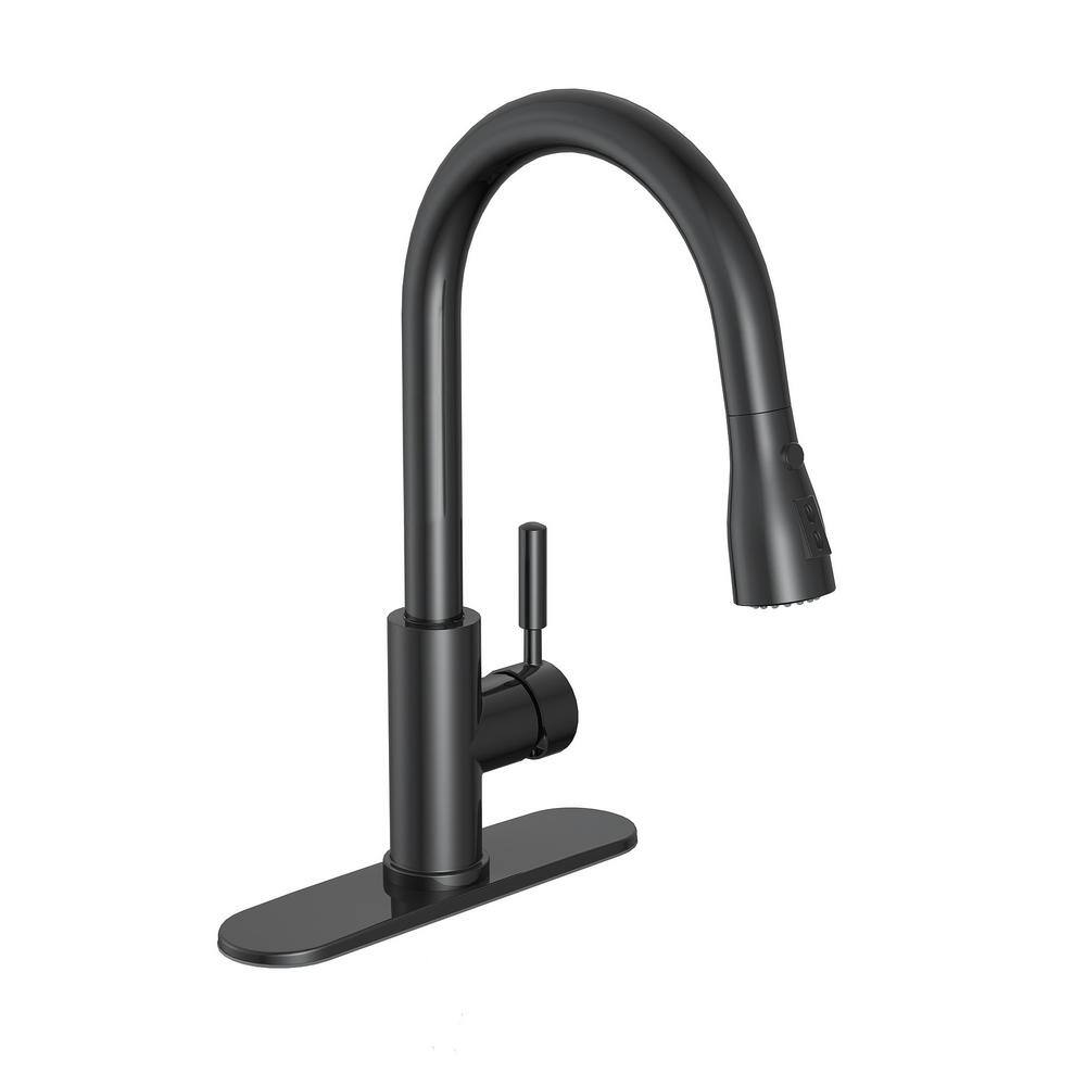 PRIVATE BRAND UNBRANDED Garrick Single-Handle Pull-Down Sprayer Kitchen Faucet in Matte Black D004O