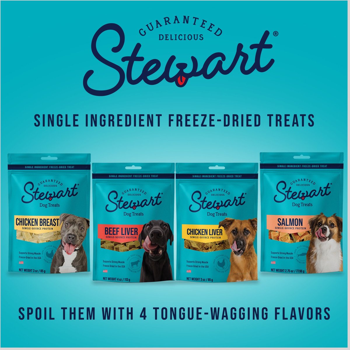 Stewart Chicken Breast Freeze Dried Dog Treats， 3-oz pouch