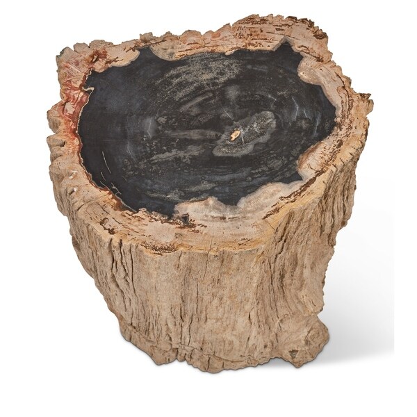 Fully Polished Stump- Dark