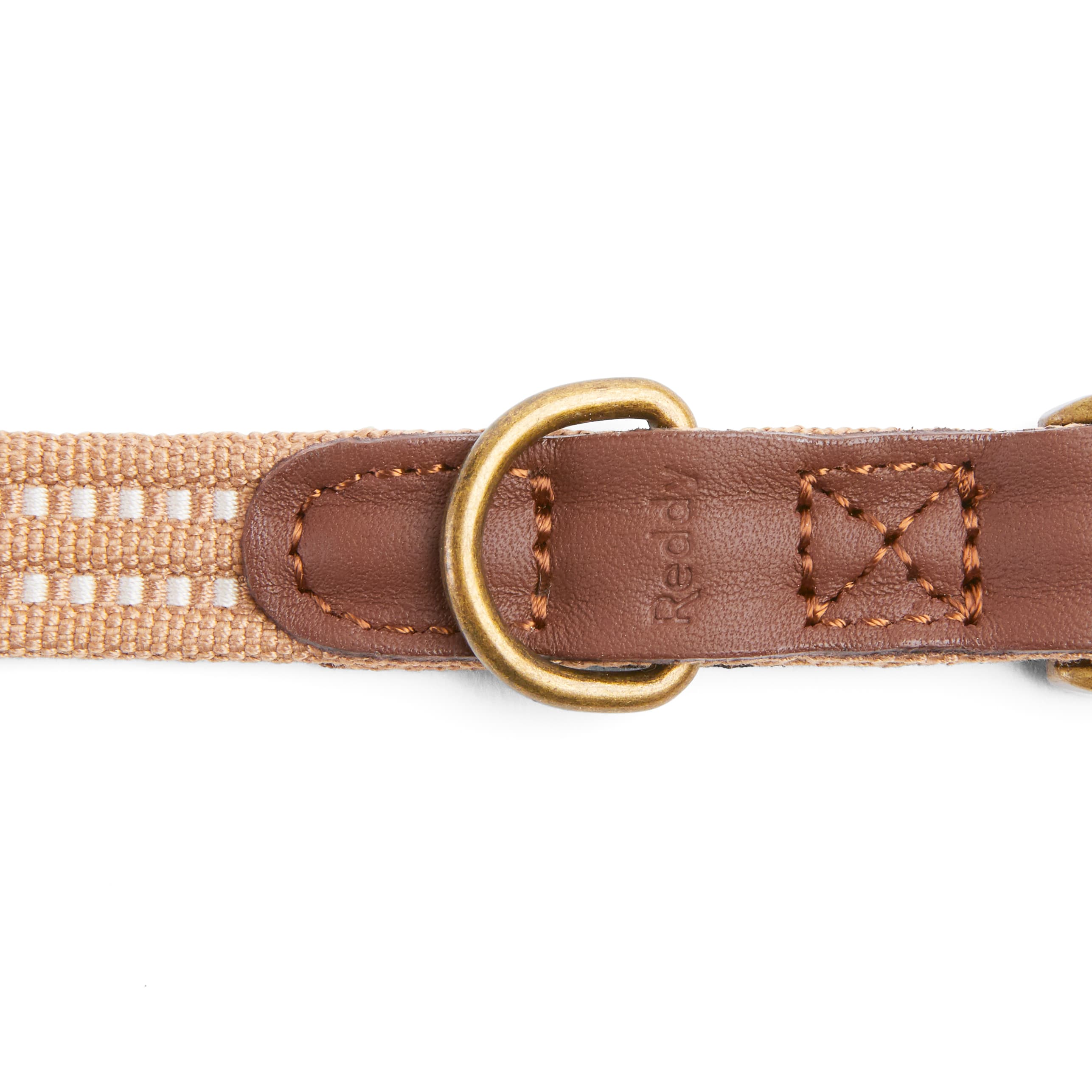 REDDY Tan Webbed Dog Collar， Small