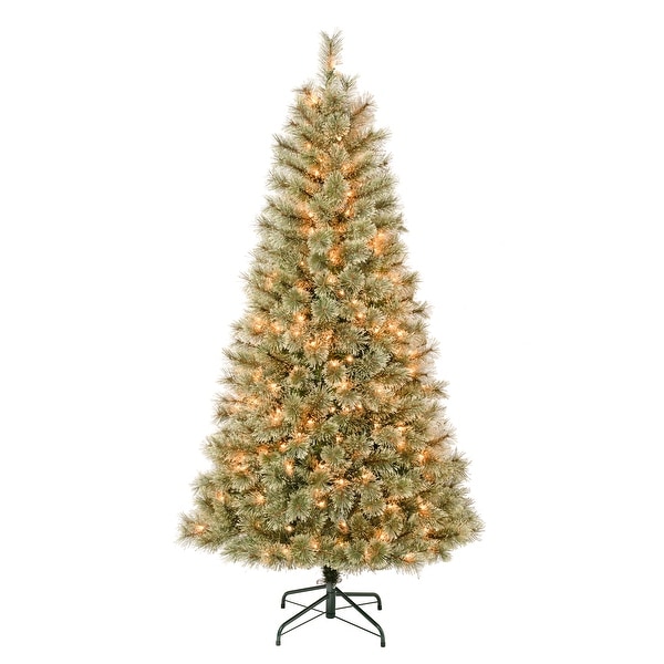 National Tree Company 6 ft. Arcadia Pine Tree with Clear Lights