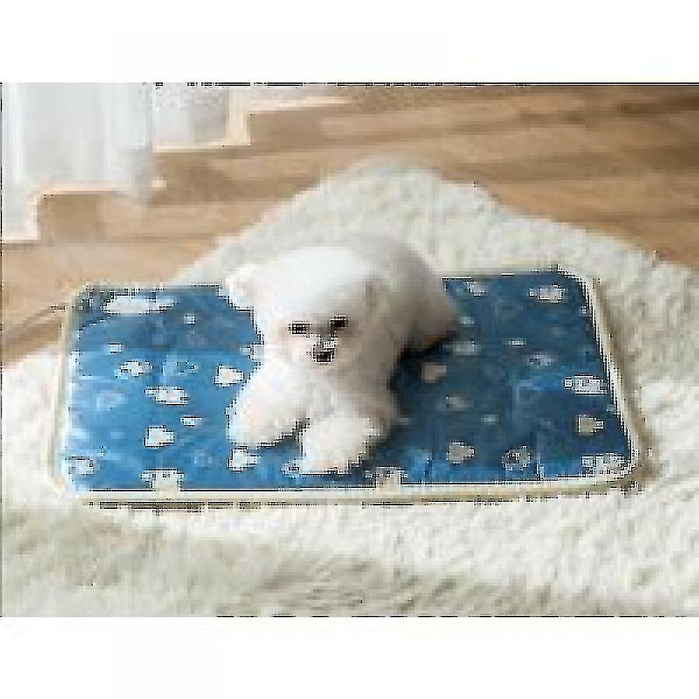 Dog And Cat Heating Pad Electric Pet Heating Pad With Crystal Velvet Blanket Newborn， Small And Old