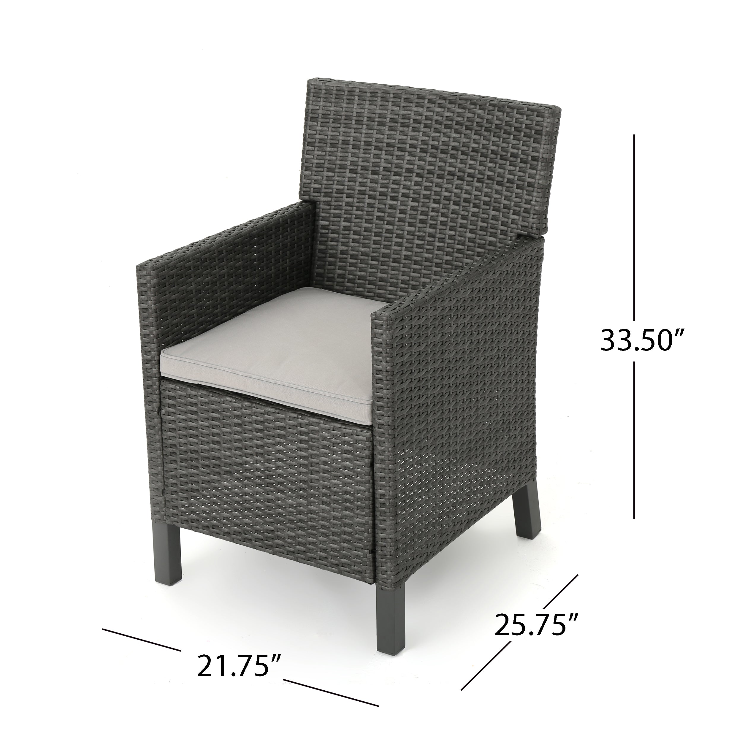 Cyrus Outdoor Wicker Dining Chairs with Water Resistant Cushions (Set of 2)