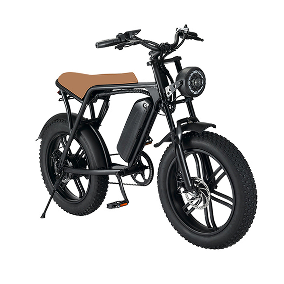 Eu Warehouse 21 Speed Electric Mountain Bike /fast Speed Electric Bike /aluminum Frame 1000w 48v Electric Bicycle Ebike