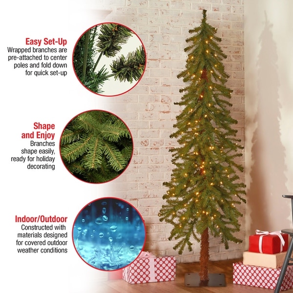 National Tree Company 5 ft. Prelit Hickory Cedar Tree with 150 Clear Lights